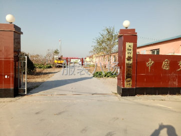 undefined - 滨州外贸梭织工厂 - 图1