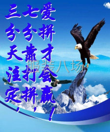 undefined - 平车服装加工 - 图2