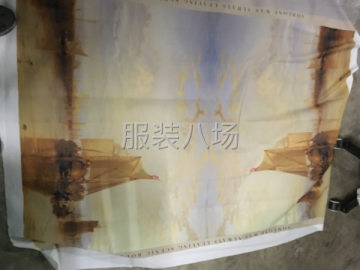 undefined - 数码印花厂承接印花加工 - 图3