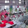 青岛 - 即墨区 - 北安周边 - 新泰袆达针织厂