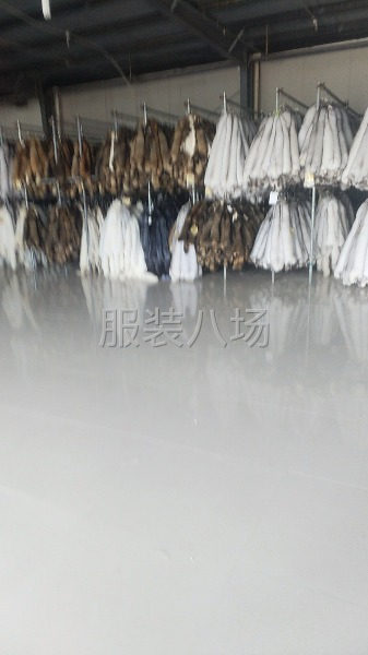 承接各种貉子狐狸毛领制作-第2张图片