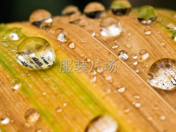 undefined - 专业承接 王许 附近 网店活 精品活 有需要的老板请联系 1 - 图1