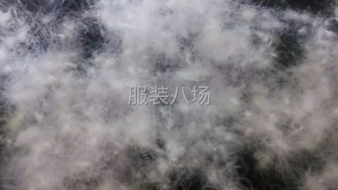 undefined - 河北羽绒工厂直销专业羽绒二十多年 - 图2