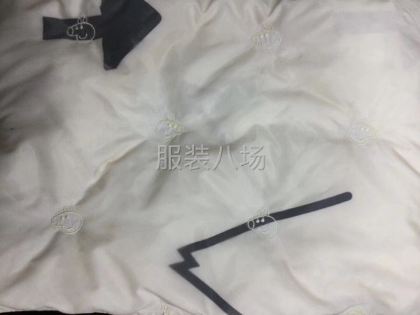專業找樣  代發貨 采購-第230張圖片