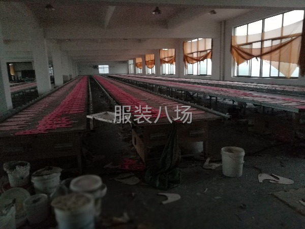 承接服装鞋材印花-第2张图片