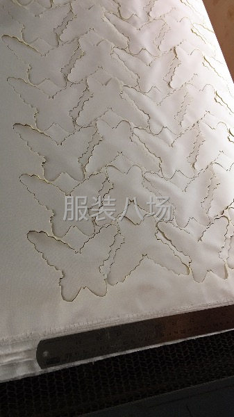 绣花布面料激光切割雕孔加工-第8张图片