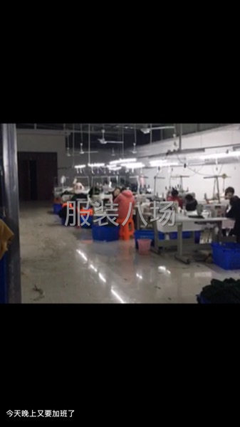 灵璧县20人加工厂。寻找长期合作商。-第1张图片