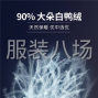 泉州市区 - 收库存70、80、90白鸭绒、灰鸭绒