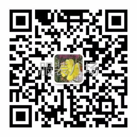 undefined - 撸起袖子加油干！ - 图4