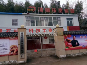 undefined - 三十年服装业打滚，二十工人做加工 - 图5