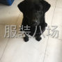 沧州 - 新华周边 - 加工厂接单