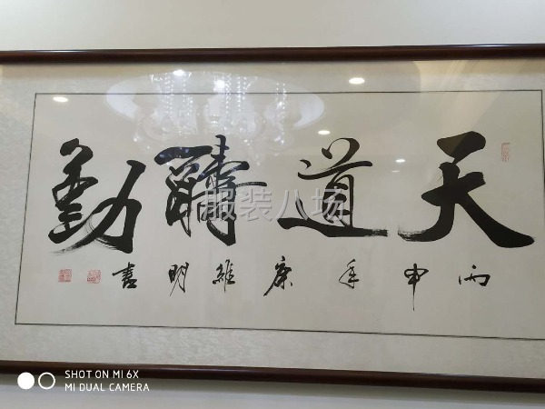 佳怡服饰承接货源-第6张图片