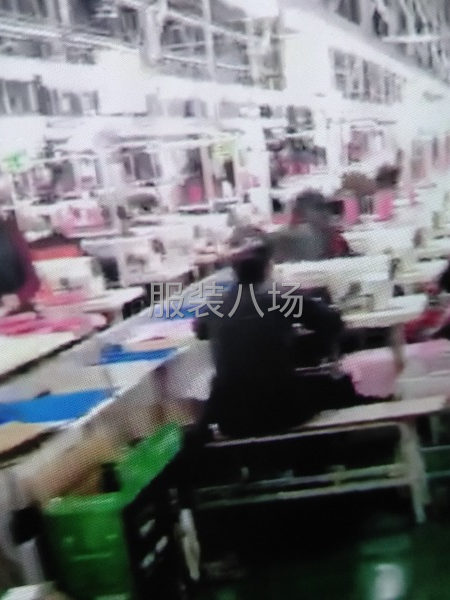 承接大量定單，價低，保質保量，-第1張圖片