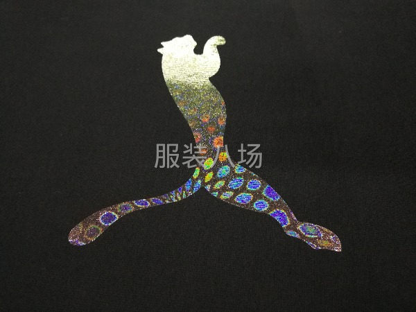 廠家直供轉(zhuǎn)印標，燙畫標，硅膠標，刻字膜標-第5張圖片