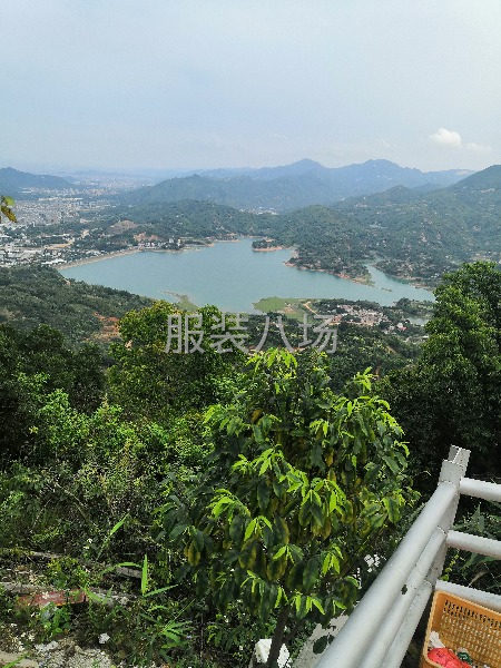 加工厂找合作伙伴-第1张图片