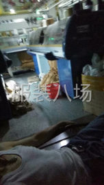undefined - 羊毛衫12针横机加工厂 - 图1