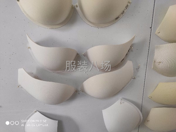 承接内衣设计，加工包工包料-第3张图片