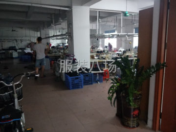 undefined - 加工厂找货源，5--7人 - 图1