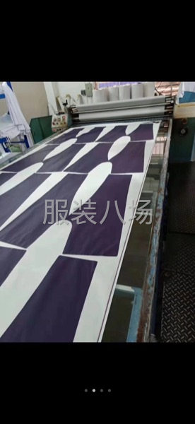 江川60x1700数码热转印升滚筒印花机烫画机全自动-第4张图片