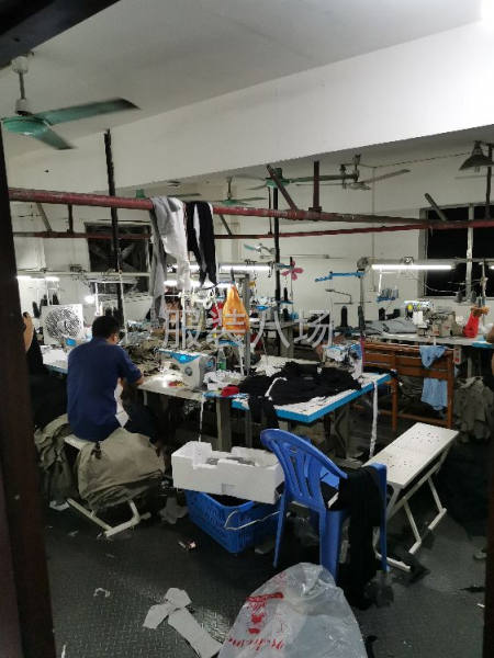 招長工，熟手車位多名，夫妻整件優(yōu)先，自有檔口，貨穩(wěn)，工資準(zhǔn)時(shí)-第1張圖片