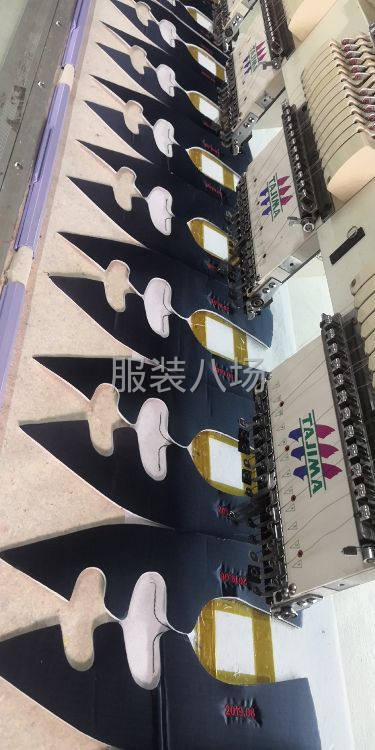 进口机，专业精品平绣绣花-第3张图片