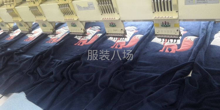 进口机，专业精品平绣绣花-第4张图片