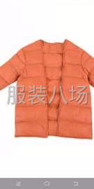 undefined - 求购秋冬季女装棉服内胆 - 图1