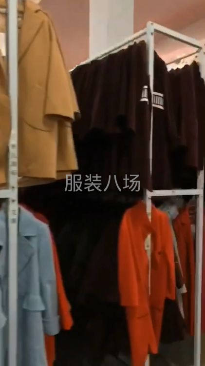 十萬(wàn)件女裝羊絨呢子大衣整理入庫(kù)，整款整碼，直播老板，連鎖店老-第1張圖片