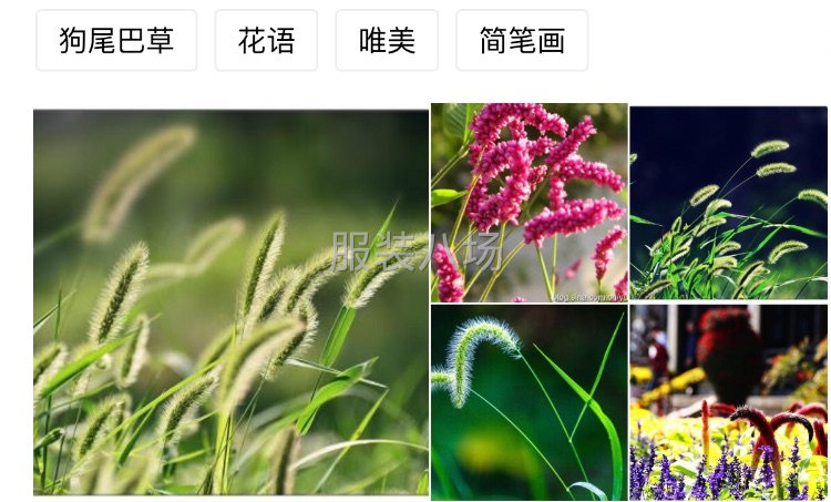 12年平车经验，针织梭子都会做，找个厂干到年底-第2张图片