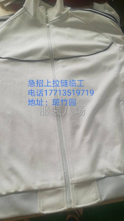急招：车位临时工，四线，砍车-第1张图片
