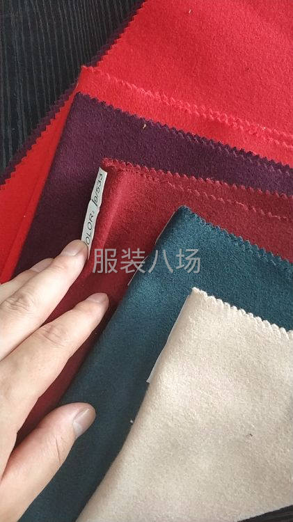 梭織拉毛布10-第4張圖片