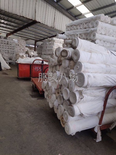 专业生产销售双面绒及羽绒服面里料等-第2张图片
