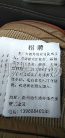 undefined - 本厂专做水洗皮衣，高薪急招 - 图1