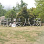 成都 - 郫都区 - 安靖 - 欢迎。老板下单