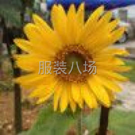 undefined - 承接加工 - 印花 - 图1