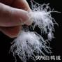 广州市区 - 羽绒服—羽绒200元一公斤