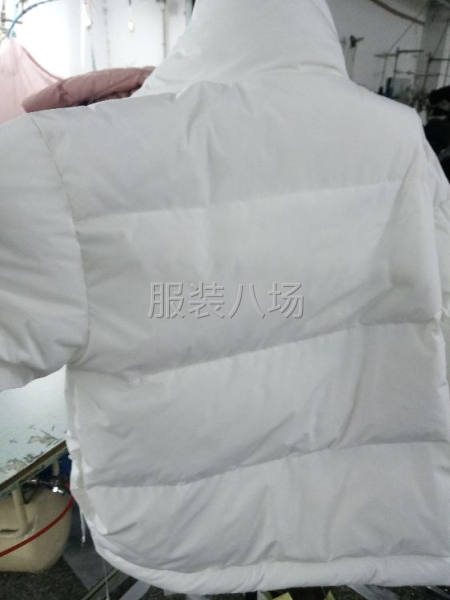 羽絨服和棉衣大生產(chǎn)招車工-第1張圖片