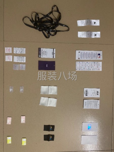 潮牌冠军大鹅-第3张图片