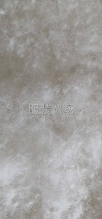 新科技服装辅助部-第6张图片