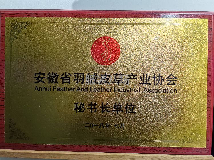 鸿昌羽绒-厂家直销50-95的鹅绒和鸭绒，高蓬松，高清洁。-第2张图片