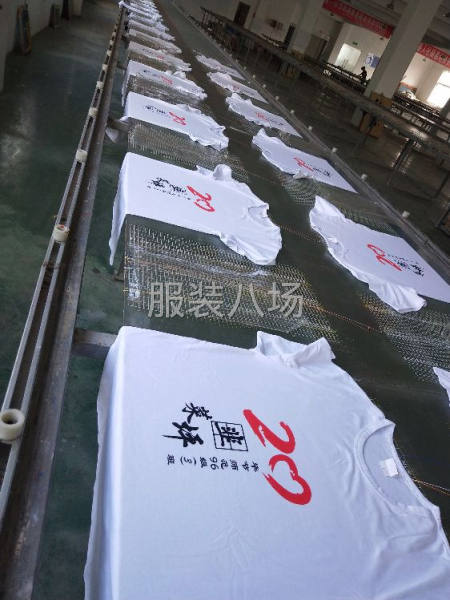 赫章月巨服饰印花厂-第6张图片