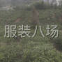 金华 - 义乌市 - 福田 - 寻找手工货