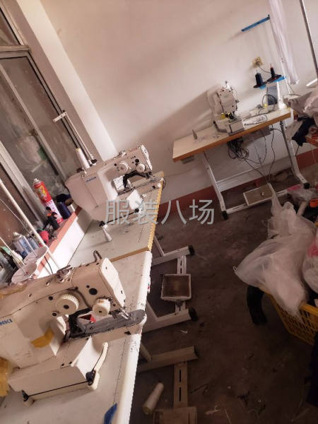 承接短袖卫衣卫裤校服四针六线加工-第7张图片