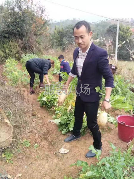 車間師傅，或相關(guān)管理工作-第1張圖片