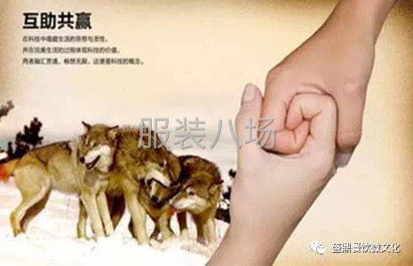 共赢发展战略规划-第2张图片