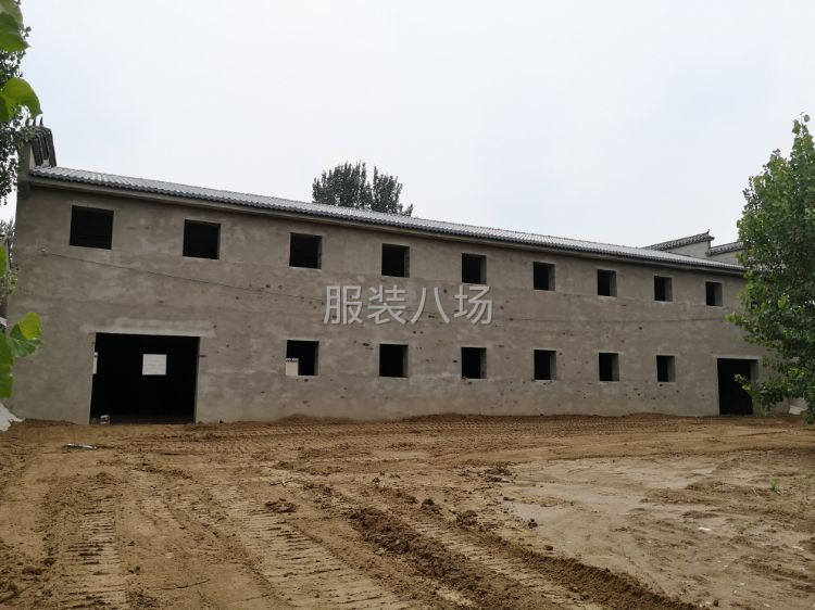 独门独院出租-第8张图片