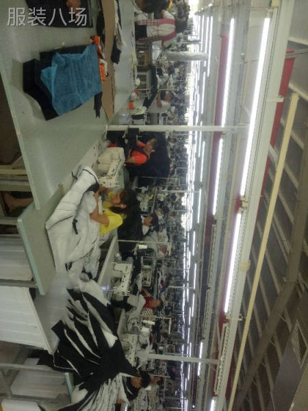 服装计时熟练缝纫工找厂子-第3张图片