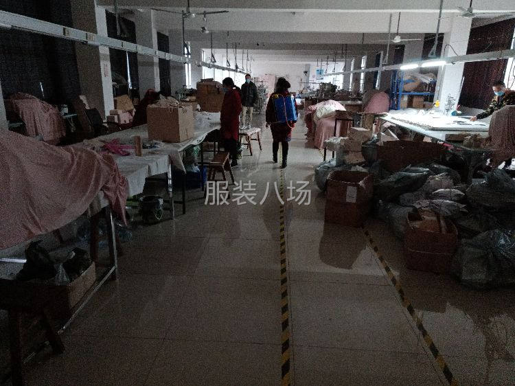 專業(yè)內(nèi)褲，T恤加工-第2張圖片