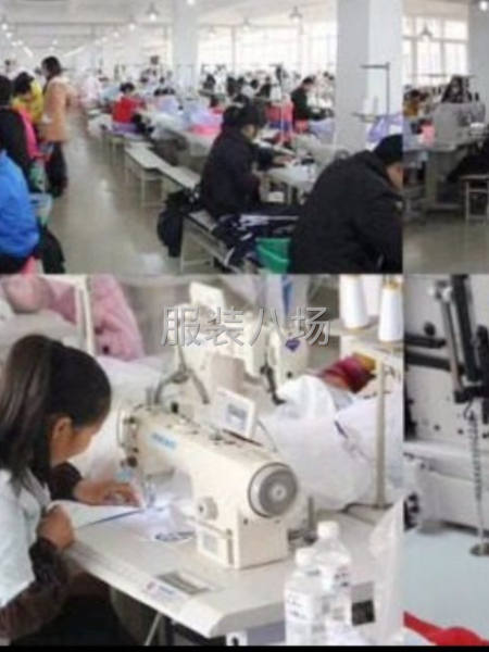 40個人的加工廠-第1張圖片