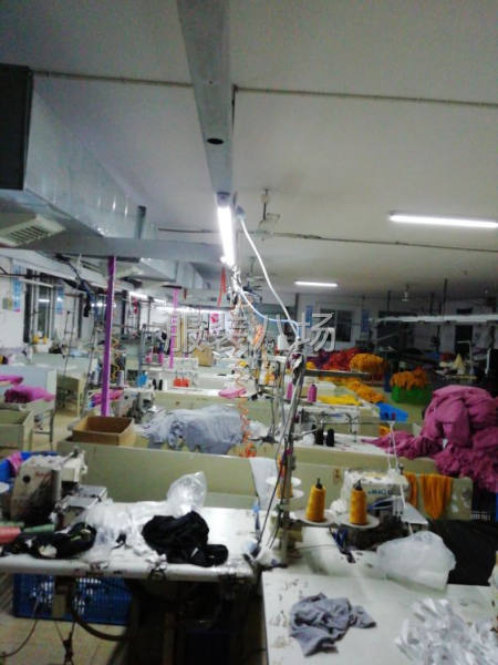 只要你有数量来，我就有质量给你。-第1张图片